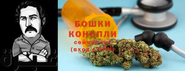 дмт Медногорск