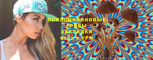 метадон Мегион