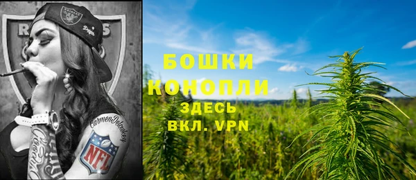бошки Сатка