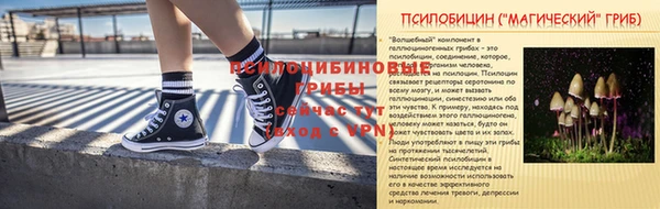 стаф Медвежьегорск