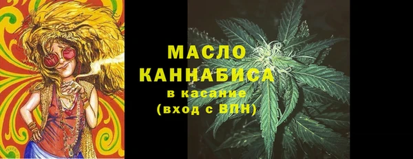 дмт Медногорск