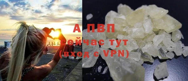 стаф Медвежьегорск