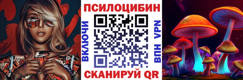цена   Лебедянь  Галлюциногенные грибы Cubensis 